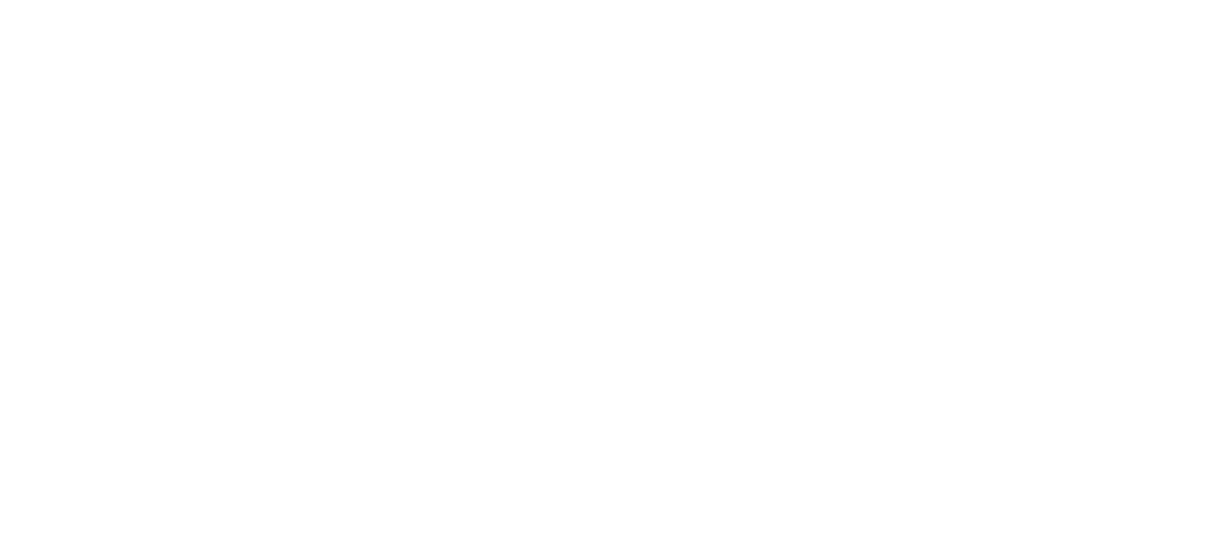 Clarissa Kaub - Design & Innovation